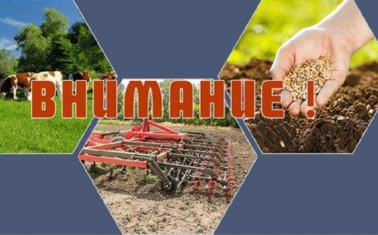 ����� �����: ��������� ������������ �������������������� ����������� � �������������� ��������������� ����������� �������������� ������!