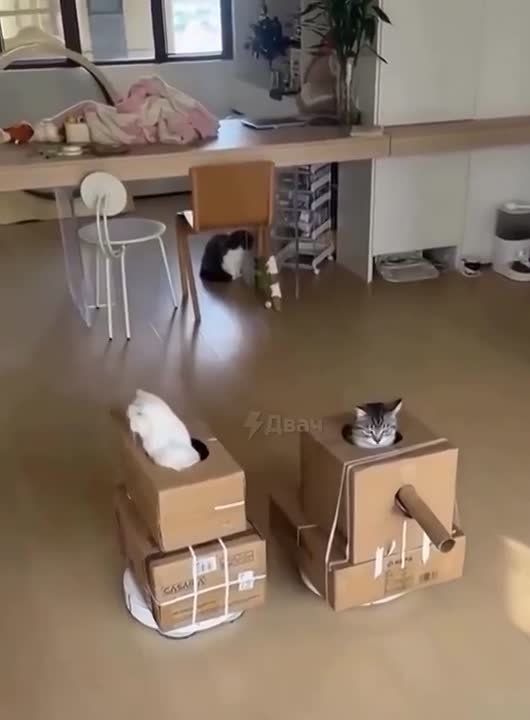 �������� ��������������� �� ���������� ������ ���� ����� �� �����