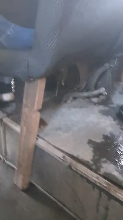 ���� ������ ������ ����� ������� ����� � ����� �� ��������� �������