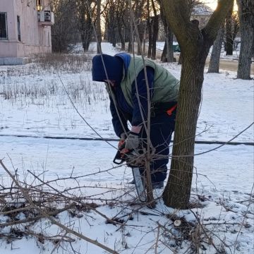 ���� ������: �������� �� �������� ������, ����������� �������������� ����������� ������� ������������� � ������������ ������ ���������� ��������� �������� ������ �� ���������������