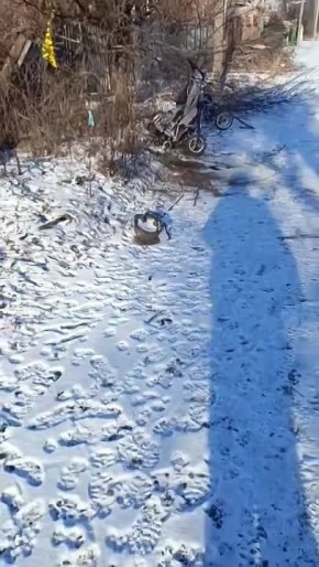 Красный Лиман...У ВСУ заходы в маскхалатах...Зашли-вышли...Два 200...Один на две части