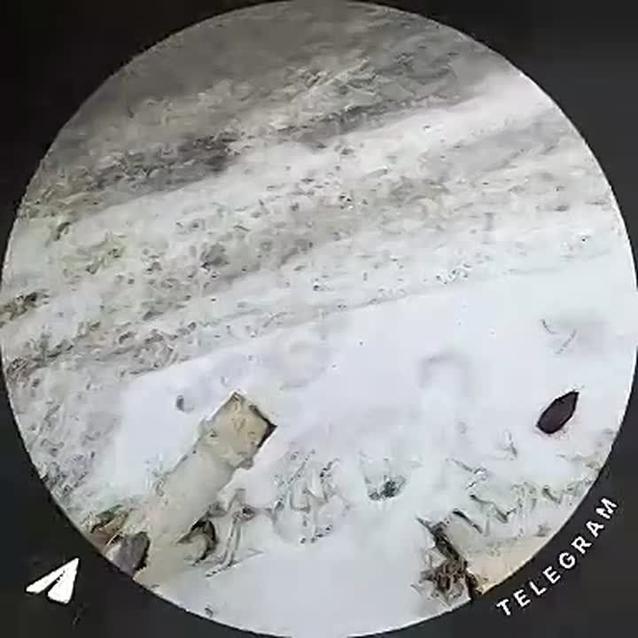 � �������� �������� �� ���������� � ����������� �� ���� � �������� ���� ������