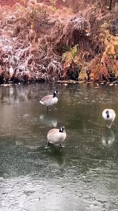 �� ������ ���, ������� ��������� ��������� � �������� ������ � ��, ��� �� ��������