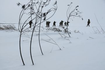 ������� ����������, ��� ��� ������� ������ ������� � ���������