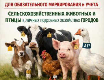 �������� ��������: �������� ���������� �������������������� �������� � �����!