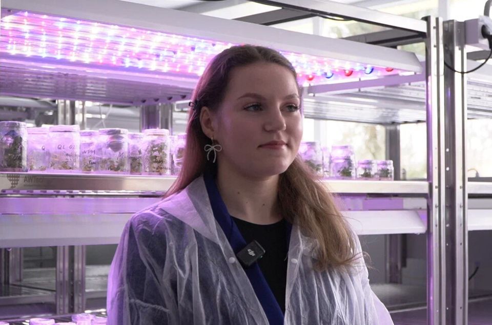 ��������� ��� ������� ��� ���� ��� ����������� ��������