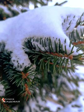 ����������� ��������� ���!