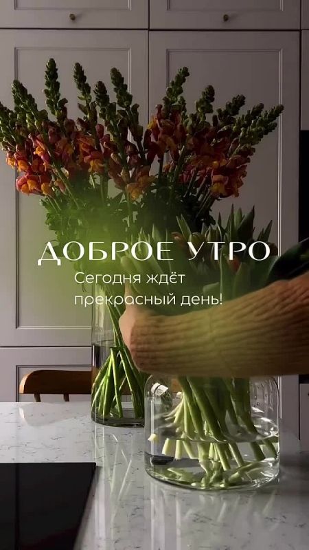 ������ ���� �� ���!. ��������� � ���, � ����� ���� ���� ������ ������� ��������� ������� ���� ����� ���