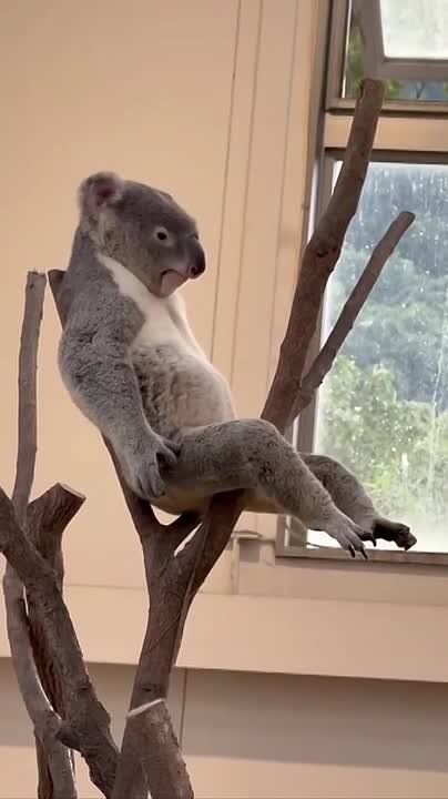 Быть или не быть… вот в чем вопрос