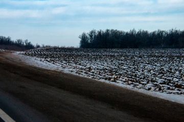 ������� ����� �� �������� ������ ��������� �� ����� ����������