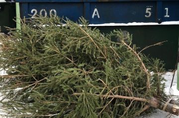 ������� � ���������� ������� �������� 114 ���������� ����