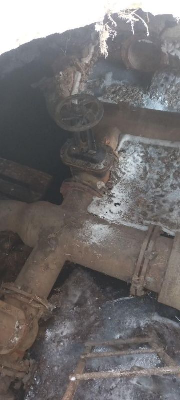 ����� �����: ����������� �������-���� ������� ������ �������� ��������� 200 �� � ����������������� ������ � ���� �� ����� �������