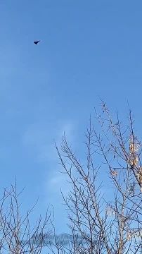 ���������� - ������ ������ �� ������