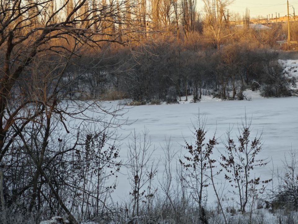 ������ ��������: ������������� ��������. 11 ������� � ���������� ���������� ����������, ��� �������