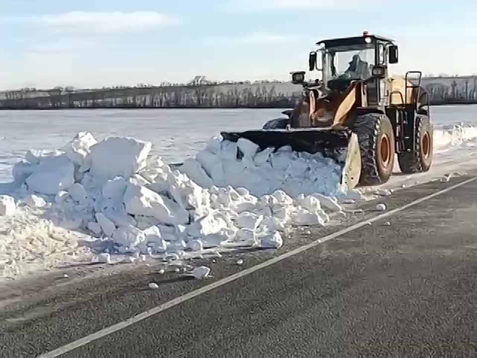 ���������� ����������� �� ����������� ����������� ������� �� ������� ������ �����������