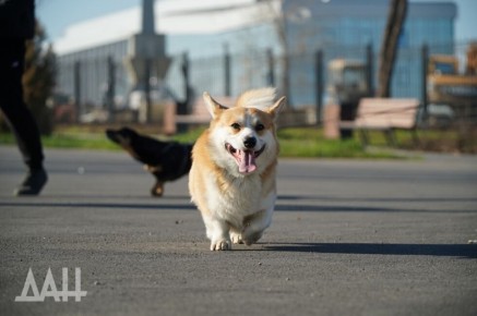 � ������� ��������� ����� �������� �������� �� �������� � ���������