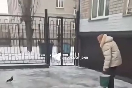 В Кировском районе Донецка малолетки накинулись с оскорблениями на работницу школы