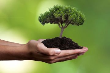 � �������� �������� ���������� ��������� ��� ����������� ���-��������������