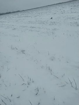 В Амвросиевском округе идет подготовка к весеннему севу яровых