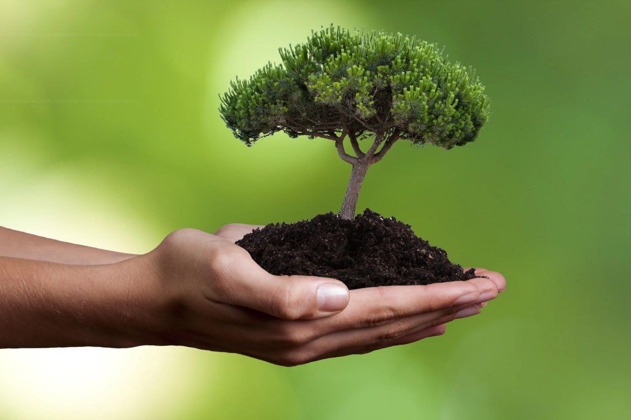 В Донецкой Народной Республике реализуют ряд мероприятий эко-направленности