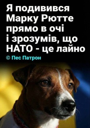 Доброй ночи, Донецк!. Пёс Патрон: «Я посмотрел в глаза Рютте и понял, что НАТО — это гавно» Прогноз погоды на 15.02.2026 Донецкая Народная Республика: