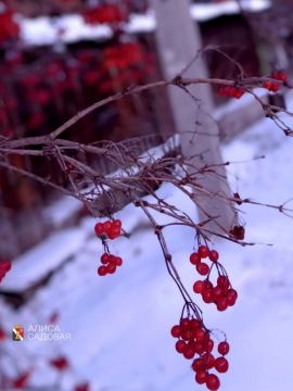 ������ ����!. #�������� #������������������ #���������������