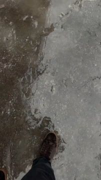 ������� ��������� � ���������� ��������� ������� ������������ � ���