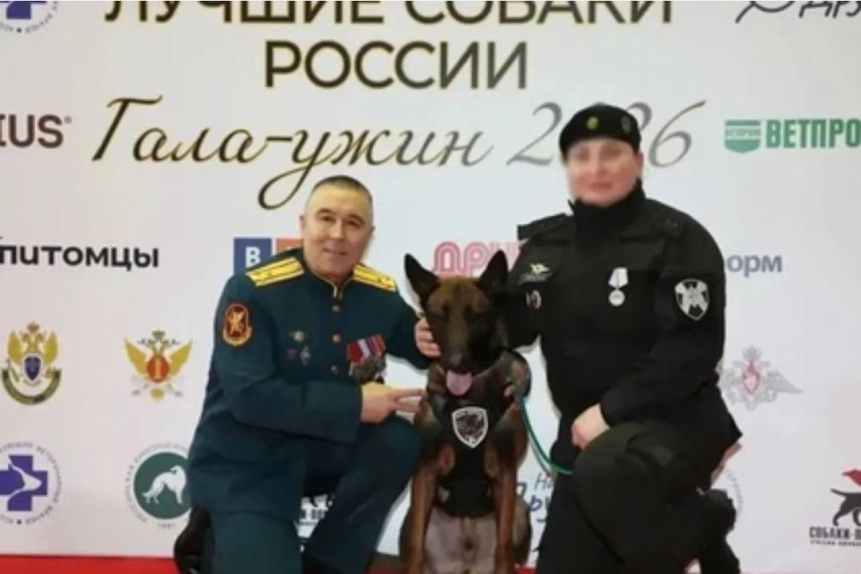 ����� ����� ��������� � �����: ��� ������� �� ��� ����� ������� ���������� ������ � ����������