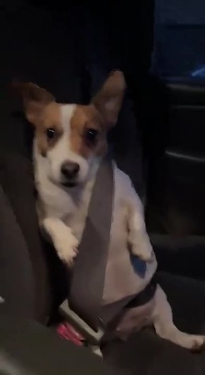 ����� ������ ��� � ����� ���������� � �������� ���������