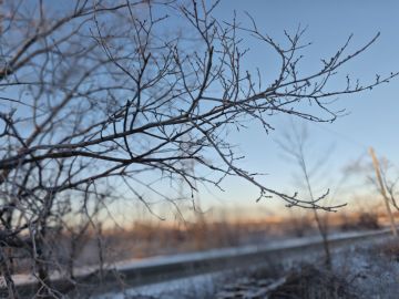 ������������� ��������. 14 ������� � ���������� ������� � ������������, �����