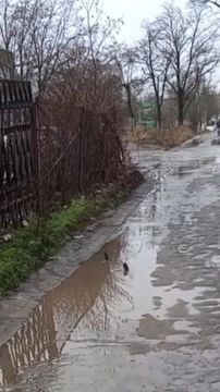 ������� ��������, ��� ������� - ���� ������� ���� � ������