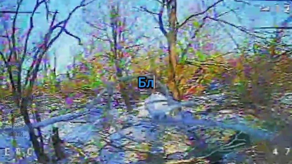 ������� ���������: 150 ��� ���������� ���, �� ��� � ������� ��� � ������, ��������, ������� � ��������