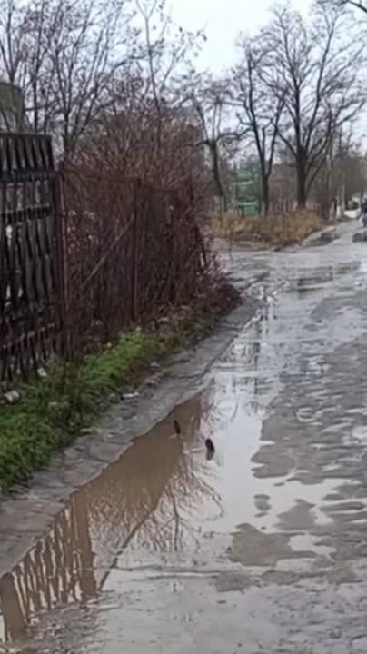 ������� ��������, ��� ������� - ���� ������� ���� � ������