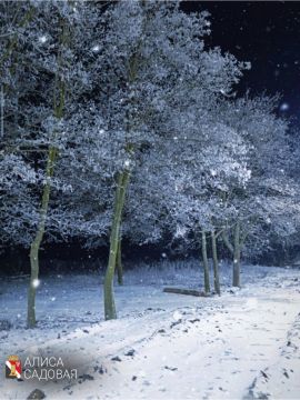 Счастливого выходного дня!