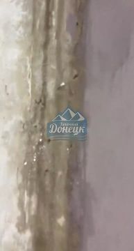 ��������� ����� ���� ���� � �������