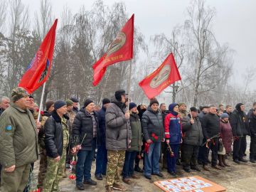 ������� ����������: 15 ������� � ���� ������ ������-������������������