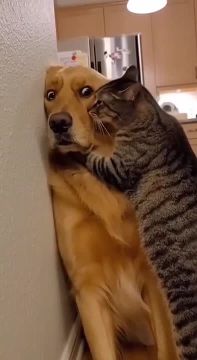 � ��-�� �����������! � ������ ������ �������?