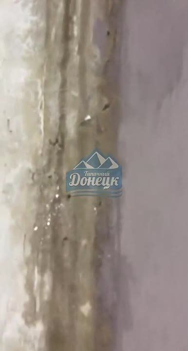 ��������� ����� ���� ���� � �������