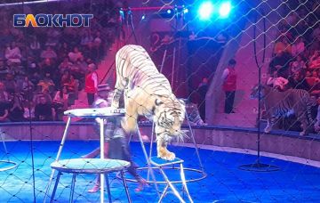 �������� ���� ������� ����� ����� � ����� ������ � ������