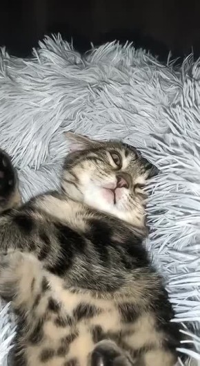 ��, ��� �� ��� ��� �������� ������� ������