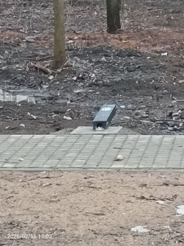 ��������� ������: ����� � ���� ����������������� ������ ����� �������������