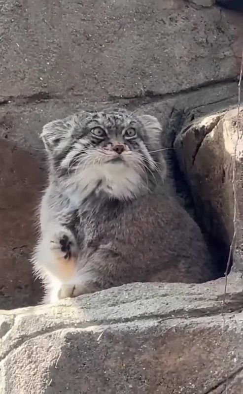 �� �������� �������� ���� � ������� ��� ����� ����� �������