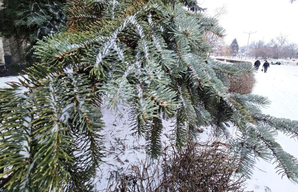 ������ ��������: ����������������� � ��������������� ����������