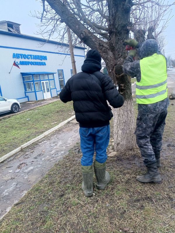 ����� �����: ������������� ������������� �����: ����������� ������ �� ��������������� �� 17.02.2026