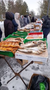 В поселке Старобешево прошла выездная торговая ярмарка