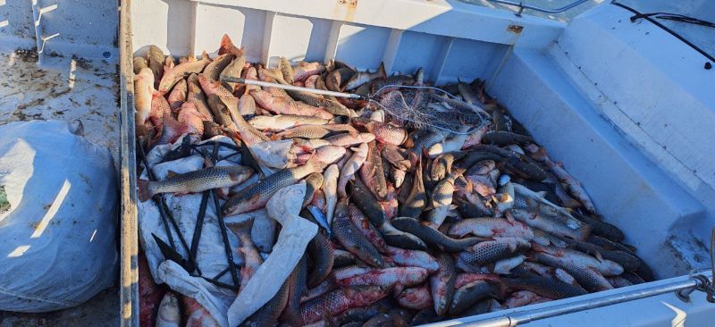 ����������� �������� ���� ����������� ������ ����