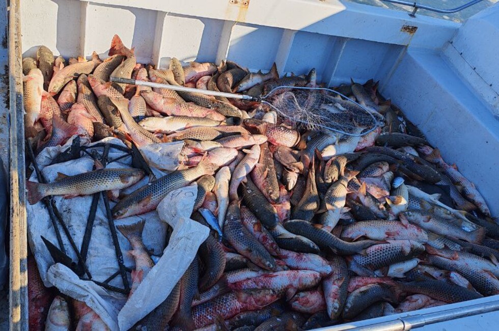 В Мангушском округе браконьеры наловили рыбы на 1 млн рублей