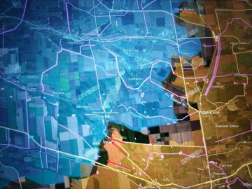 ���� �������: ������������� �����������. ������ ��� "�����" ���������� �����������