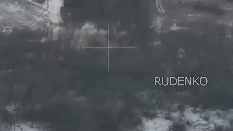 ������ �������: ������ 203-�� ���������� ����� ������ ������ ����������� ����� ��������� ��������������� ������ ���������� �� ��������� �����������