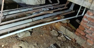 ����� �����: �������� �� ���������� �������